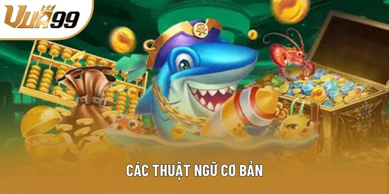 Các thuật ngữ cơ bản