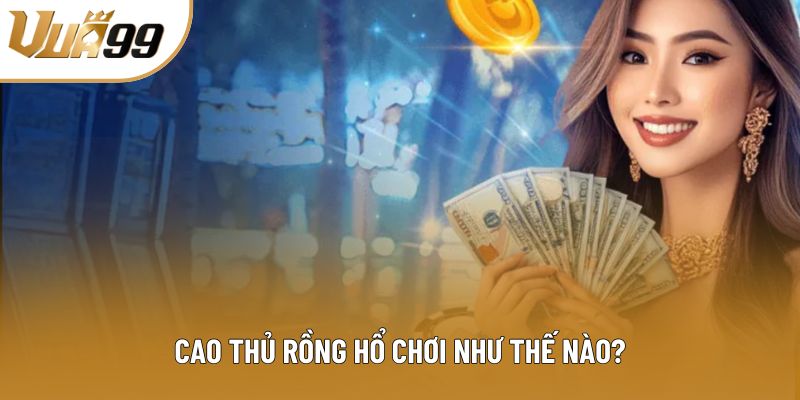 Cao thủ rồng hổ chơi như thế nào?